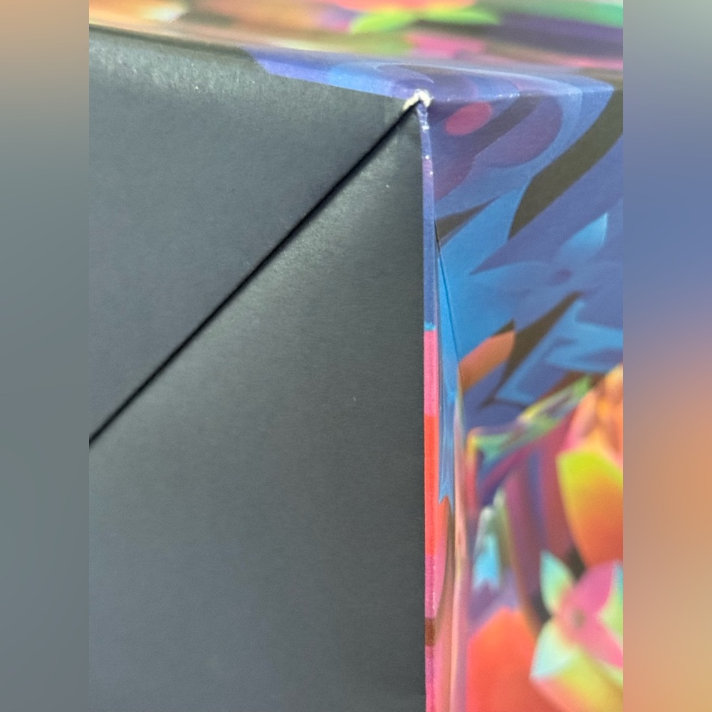 Louis Vuitton XL Multicolor Shopping Display Bag Limited Edition Boutique Decor - Picture 15 of 15